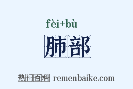 肺部是什么意思的图片